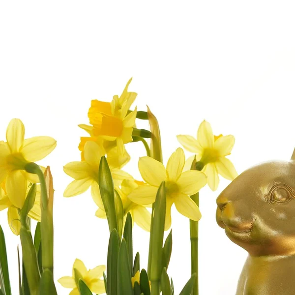 问鼎娱乐捕鱼游戏